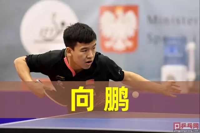 组建这样一 组建这样一